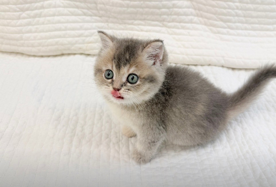 6d07c5a1bd7a595e050c77963c6584bb_1764147627_3684.jpg 6d07c5a1bd7a595e050c77963c6584bb_1764147627_3684.jpg