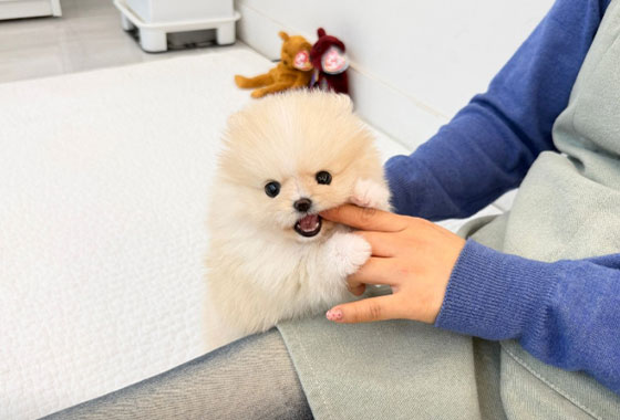 6fde3e8f1ea9b10ff33e57aa022f47be_1763704396_9396.jpg 6fde3e8f1ea9b10ff33e57aa022f47be_1763704396_9396.jpg