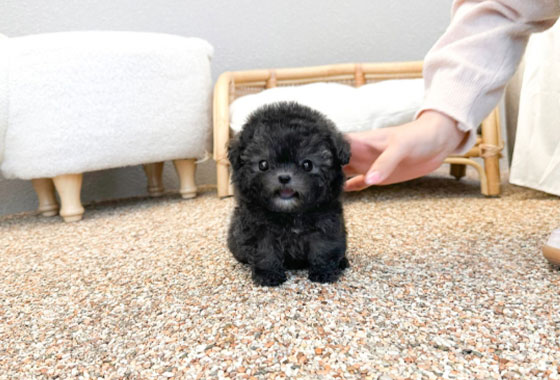 6fde3e8f1ea9b10ff33e57aa022f47be_1763704588_778.jpg 6fde3e8f1ea9b10ff33e57aa022f47be_1763704588_778.jpg