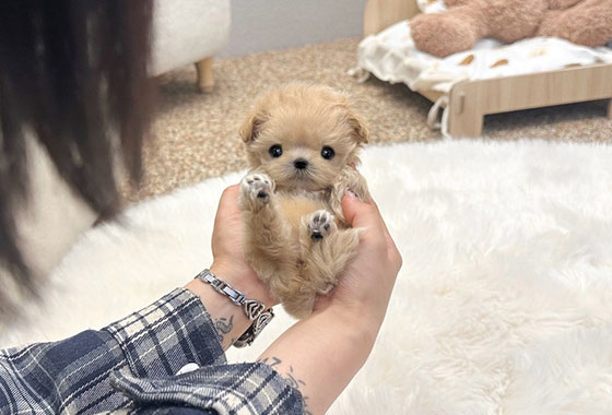 a66c0a480241c53e90fa9489cb78336e_1763098123_8194.jpg a66c0a480241c53e90fa9489cb78336e_1763098123_8194.jpg