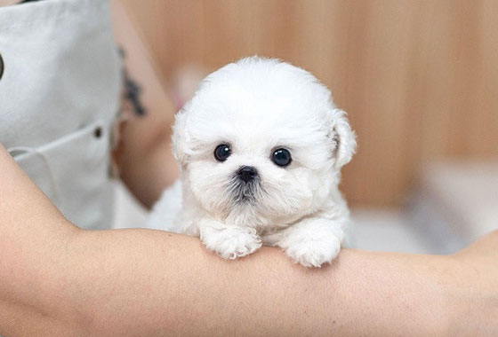 a66c0a480241c53e90fa9489cb78336e_1763098166_3935.jpg a66c0a480241c53e90fa9489cb78336e_1763098166_3935.jpg