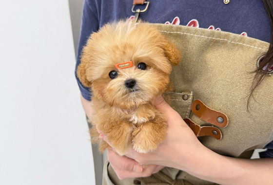 a66c0a480241c53e90fa9489cb78336e_1763098216_9151.jpg a66c0a480241c53e90fa9489cb78336e_1763098216_9151.jpg