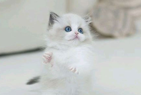 a66c0a480241c53e90fa9489cb78336e_1763098279_4029.jpg a66c0a480241c53e90fa9489cb78336e_1763098279_4029.jpg