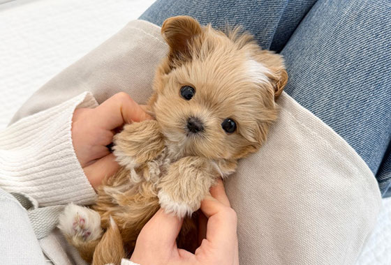 a66c0a480241c53e90fa9489cb78336e_1763098410_8626.jpg a66c0a480241c53e90fa9489cb78336e_1763098410_8626.jpg