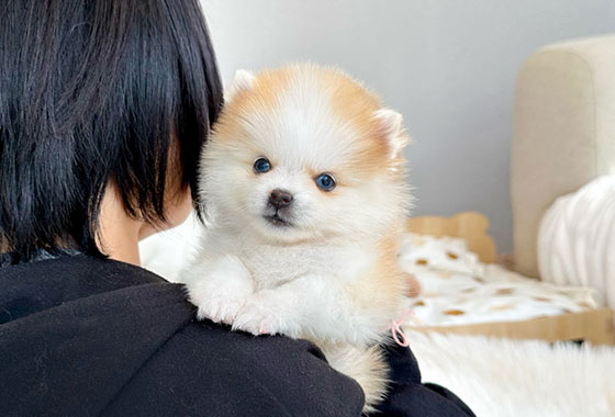 a66c0a480241c53e90fa9489cb78336e_1763098469_8782.jpg a66c0a480241c53e90fa9489cb78336e_1763098469_8782.jpg