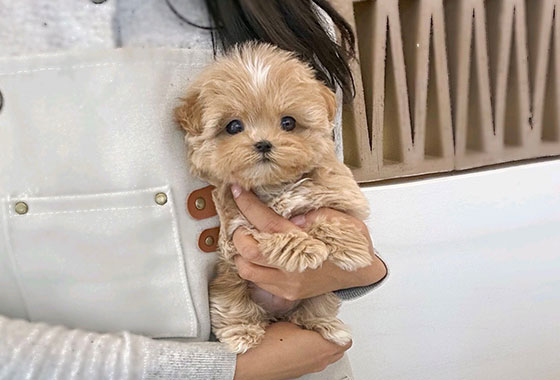 a66c0a480241c53e90fa9489cb78336e_1763099260_1338.jpg a66c0a480241c53e90fa9489cb78336e_1763099260_1338.jpg