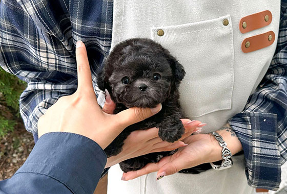 a66c0a480241c53e90fa9489cb78336e_1763099295_701.jpg a66c0a480241c53e90fa9489cb78336e_1763099295_701.jpg