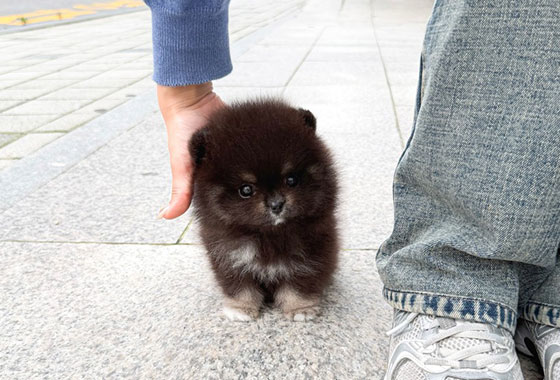 a66c0a480241c53e90fa9489cb78336e_1763099558_8068.jpg a66c0a480241c53e90fa9489cb78336e_1763099558_8068.jpg