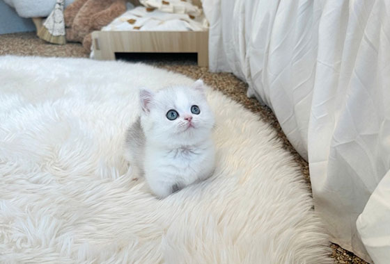 a66c0a480241c53e90fa9489cb78336e_1763099618_5789.jpg a66c0a480241c53e90fa9489cb78336e_1763099618_5789.jpg