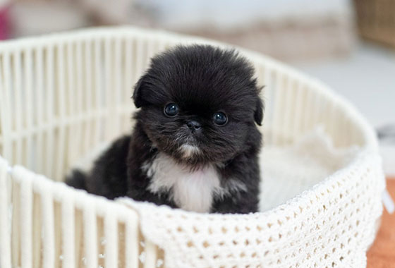 a66c0a480241c53e90fa9489cb78336e_1763099866_1882.jpg a66c0a480241c53e90fa9489cb78336e_1763099866_1882.jpg