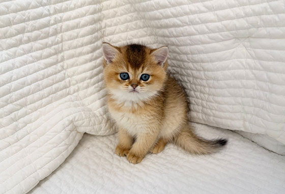 a66c0a480241c53e90fa9489cb78336e_1763099951_341.jpg a66c0a480241c53e90fa9489cb78336e_1763099951_341.jpg