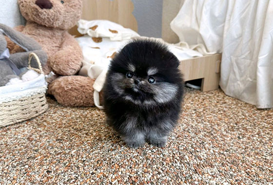 a66c0a480241c53e90fa9489cb78336e_1763099971_2228.jpg a66c0a480241c53e90fa9489cb78336e_1763099971_2228.jpg