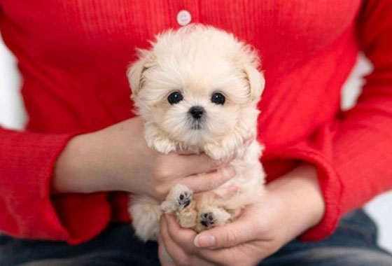 a66c0a480241c53e90fa9489cb78336e_1763100066_7891.jpg a66c0a480241c53e90fa9489cb78336e_1763100066_7891.jpg