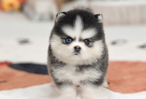 a66c0a480241c53e90fa9489cb78336e_1763100178_4761.jpg a66c0a480241c53e90fa9489cb78336e_1763100178_4761.jpg