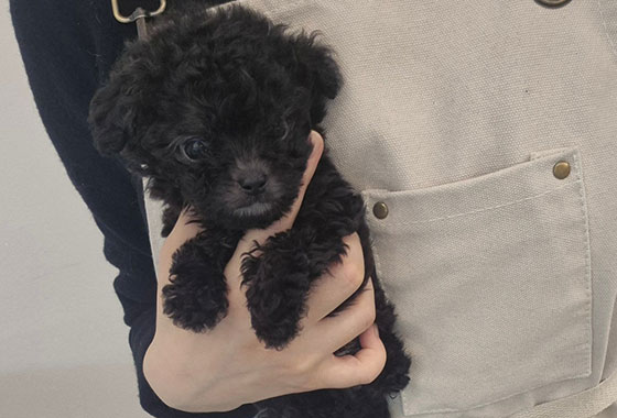 a66c0a480241c53e90fa9489cb78336e_1763100197_2732.jpg a66c0a480241c53e90fa9489cb78336e_1763100197_2732.jpg