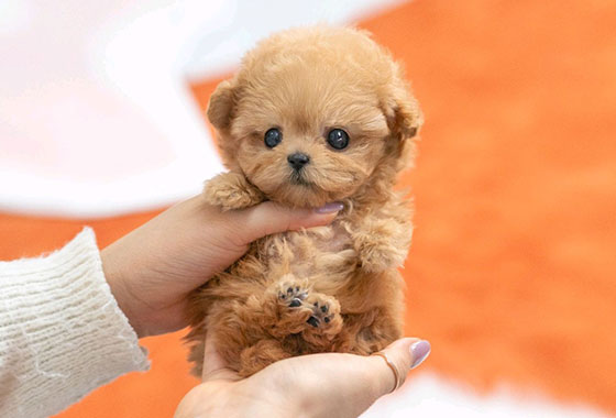 a66c0a480241c53e90fa9489cb78336e_1763100352_3144.jpg a66c0a480241c53e90fa9489cb78336e_1763100352_3144.jpg