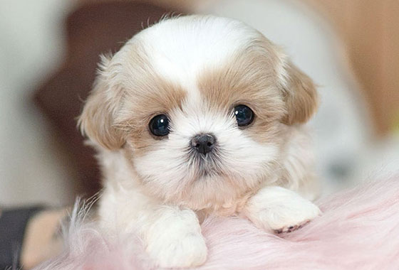 a66c0a480241c53e90fa9489cb78336e_1763100599_4781.jpg a66c0a480241c53e90fa9489cb78336e_1763100599_4781.jpg