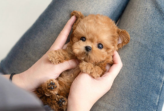 a66c0a480241c53e90fa9489cb78336e_1763100655_455.jpg a66c0a480241c53e90fa9489cb78336e_1763100655_455.jpg