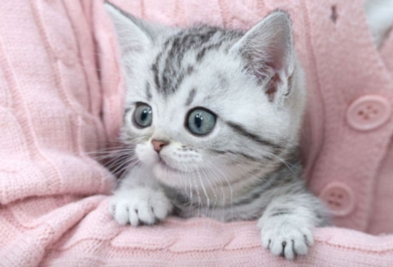 c1e44f658eb191f410828193f34fa4e4_1763198108_3406.jpg c1e44f658eb191f410828193f34fa4e4_1763198108_3406.jpg