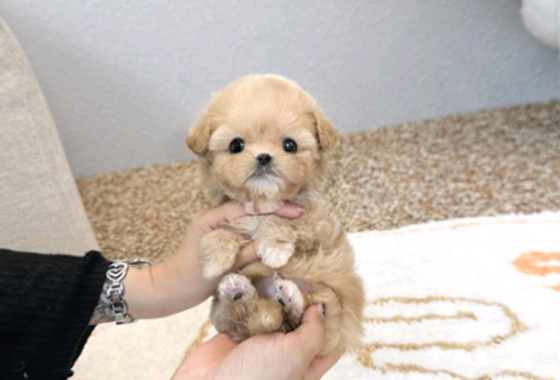 f34fe1fc68a9c344203b6f5772304a1c_1762413223_4823.jpg f34fe1fc68a9c344203b6f5772304a1c_1762413223_4823.jpg