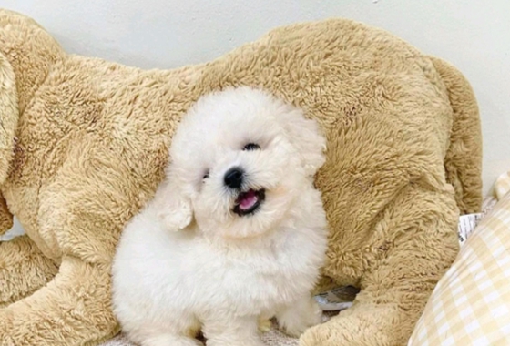 f34fe1fc68a9c344203b6f5772304a1c_1762413262_0052.jpg f34fe1fc68a9c344203b6f5772304a1c_1762413262_0052.jpg