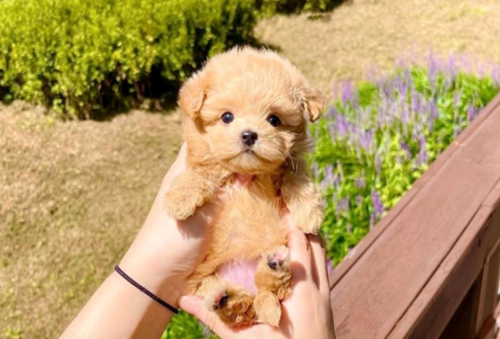 f34fe1fc68a9c344203b6f5772304a1c_1762413297_6039.jpg f34fe1fc68a9c344203b6f5772304a1c_1762413297_6039.jpg