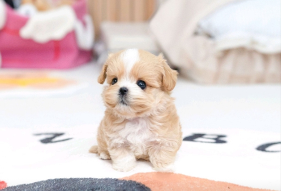 f34fe1fc68a9c344203b6f5772304a1c_1762413700_9901.jpg f34fe1fc68a9c344203b6f5772304a1c_1762413700_9901.jpg