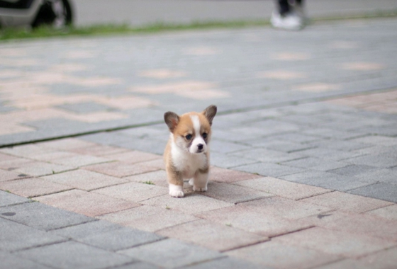 f34fe1fc68a9c344203b6f5772304a1c_1762413724_2217.jpg f34fe1fc68a9c344203b6f5772304a1c_1762413724_2217.jpg