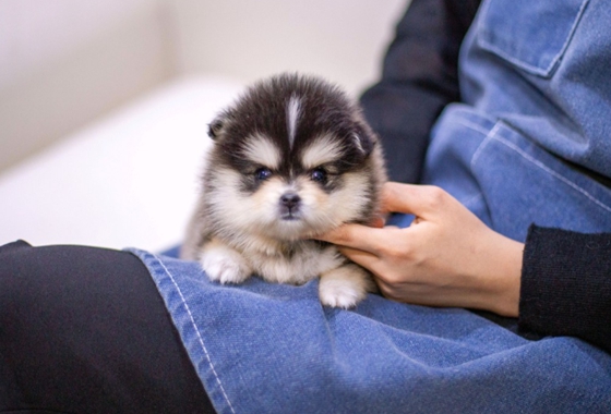 f34fe1fc68a9c344203b6f5772304a1c_1762413780_1915.jpg f34fe1fc68a9c344203b6f5772304a1c_1762413780_1915.jpg