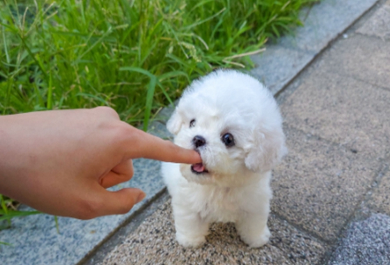 f34fe1fc68a9c344203b6f5772304a1c_1762413804_2828.jpg f34fe1fc68a9c344203b6f5772304a1c_1762413804_2828.jpg