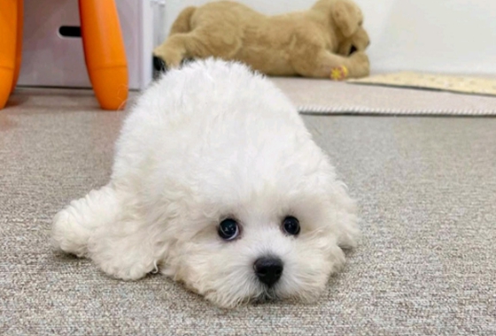 f34fe1fc68a9c344203b6f5772304a1c_1762413844_135.jpg f34fe1fc68a9c344203b6f5772304a1c_1762413844_135.jpg