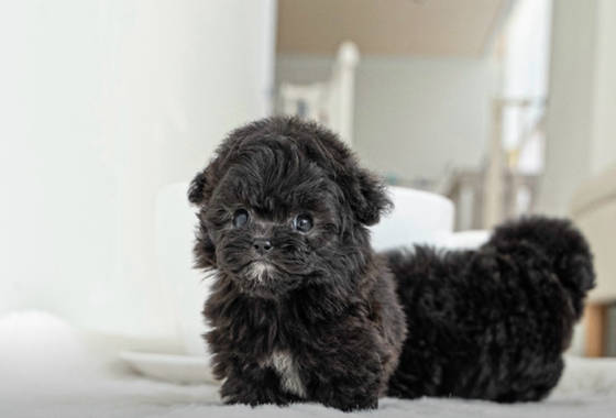 f34fe1fc68a9c344203b6f5772304a1c_1762413925_9414.jpg f34fe1fc68a9c344203b6f5772304a1c_1762413925_9414.jpg