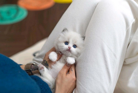 f34fe1fc68a9c344203b6f5772304a1c_1762413986_6474.jpg f34fe1fc68a9c344203b6f5772304a1c_1762413986_6474.jpg