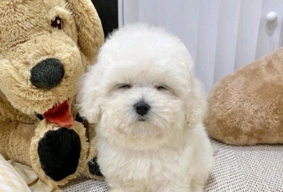 f34fe1fc68a9c344203b6f5772304a1c_1762414074_0166.jpg f34fe1fc68a9c344203b6f5772304a1c_1762414074_0166.jpg