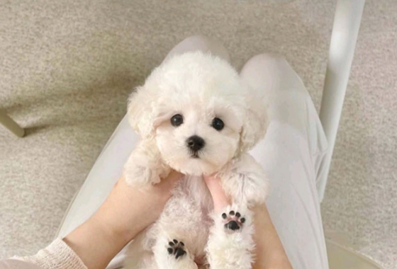 f34fe1fc68a9c344203b6f5772304a1c_1762414146_868.jpg f34fe1fc68a9c344203b6f5772304a1c_1762414146_868.jpg