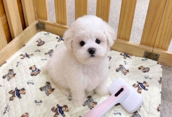 f34fe1fc68a9c344203b6f5772304a1c_1762414181_1025.jpg f34fe1fc68a9c344203b6f5772304a1c_1762414181_1025.jpg