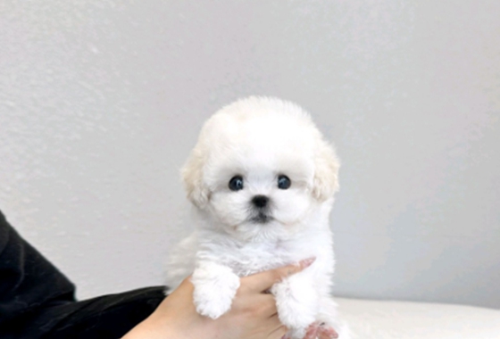 f34fe1fc68a9c344203b6f5772304a1c_1762414246_476.jpg f34fe1fc68a9c344203b6f5772304a1c_1762414246_476.jpg