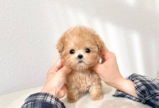 f34fe1fc68a9c344203b6f5772304a1c_1762414351_0859.jpg f34fe1fc68a9c344203b6f5772304a1c_1762414351_0859.jpg