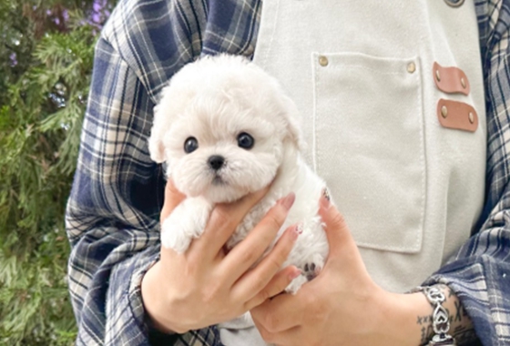 f34fe1fc68a9c344203b6f5772304a1c_1762414373_2548.jpg f34fe1fc68a9c344203b6f5772304a1c_1762414373_2548.jpg