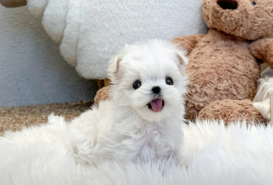 f34fe1fc68a9c344203b6f5772304a1c_1762414401_3352.jpg f34fe1fc68a9c344203b6f5772304a1c_1762414401_3352.jpg