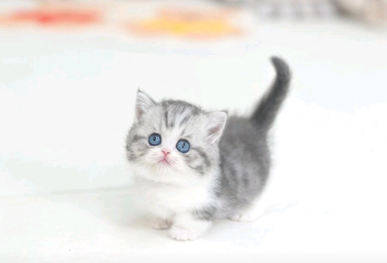 f34fe1fc68a9c344203b6f5772304a1c_1762414442_9876.jpg f34fe1fc68a9c344203b6f5772304a1c_1762414442_9876.jpg