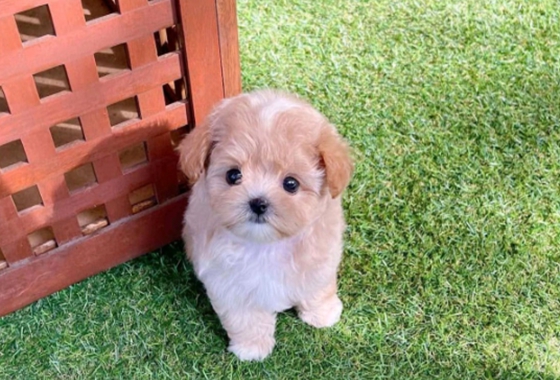 f34fe1fc68a9c344203b6f5772304a1c_1762414498_2053.jpg f34fe1fc68a9c344203b6f5772304a1c_1762414498_2053.jpg