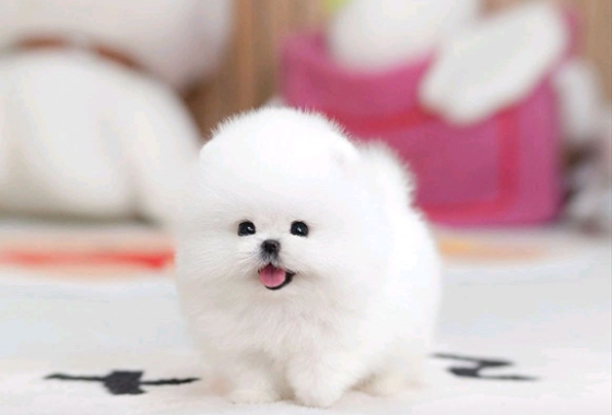 f34fe1fc68a9c344203b6f5772304a1c_1762414543_0486.jpg f34fe1fc68a9c344203b6f5772304a1c_1762414543_0486.jpg