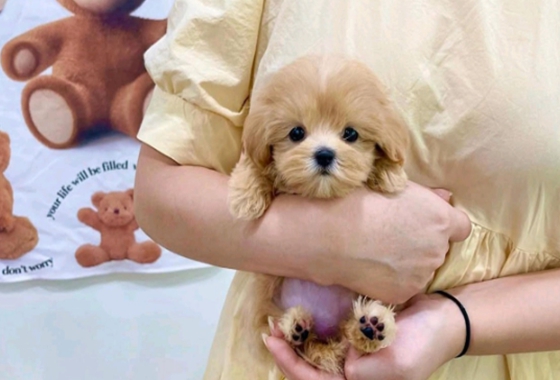 f34fe1fc68a9c344203b6f5772304a1c_1762414601_2106.jpg f34fe1fc68a9c344203b6f5772304a1c_1762414601_2106.jpg