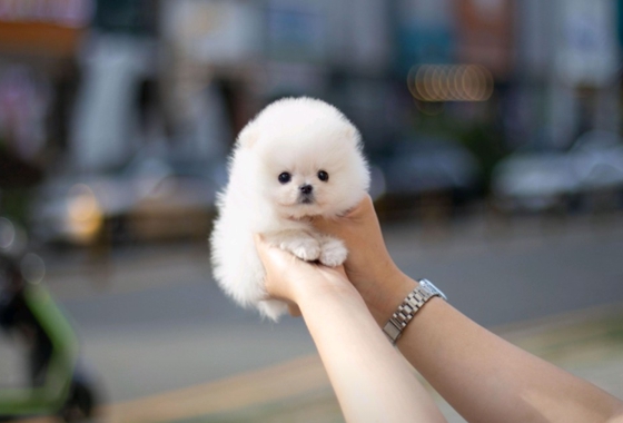 f34fe1fc68a9c344203b6f5772304a1c_1762414665_9107.jpg f34fe1fc68a9c344203b6f5772304a1c_1762414665_9107.jpg