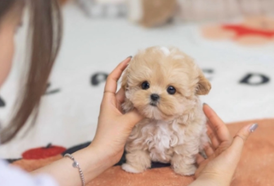 f34fe1fc68a9c344203b6f5772304a1c_1762414726_5315.jpg f34fe1fc68a9c344203b6f5772304a1c_1762414726_5315.jpg