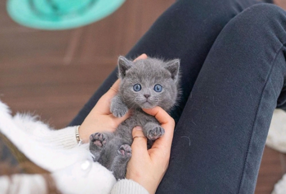 f34fe1fc68a9c344203b6f5772304a1c_1762414764_8318.jpg f34fe1fc68a9c344203b6f5772304a1c_1762414764_8318.jpg