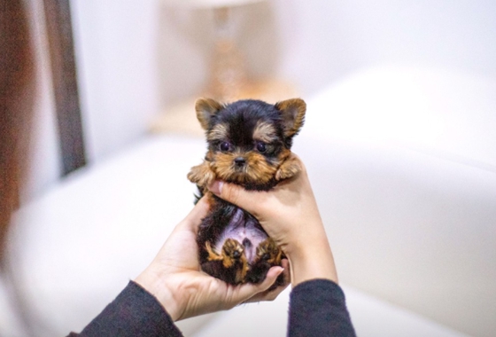 f34fe1fc68a9c344203b6f5772304a1c_1762414800_1414.jpg f34fe1fc68a9c344203b6f5772304a1c_1762414800_1414.jpg