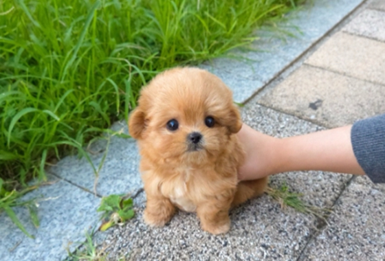 f34fe1fc68a9c344203b6f5772304a1c_1762414832_9819.jpg f34fe1fc68a9c344203b6f5772304a1c_1762414832_9819.jpg