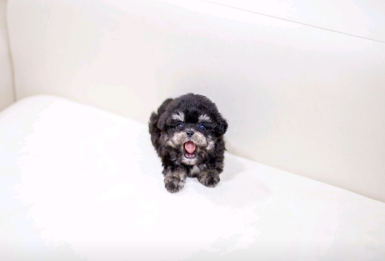 f34fe1fc68a9c344203b6f5772304a1c_1762415706_9474.jpg f34fe1fc68a9c344203b6f5772304a1c_1762415706_9474.jpg